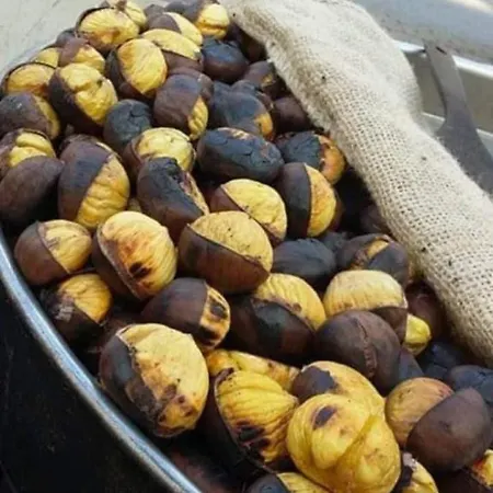 Nina's House 3 , A 300 Metri Dal Mare