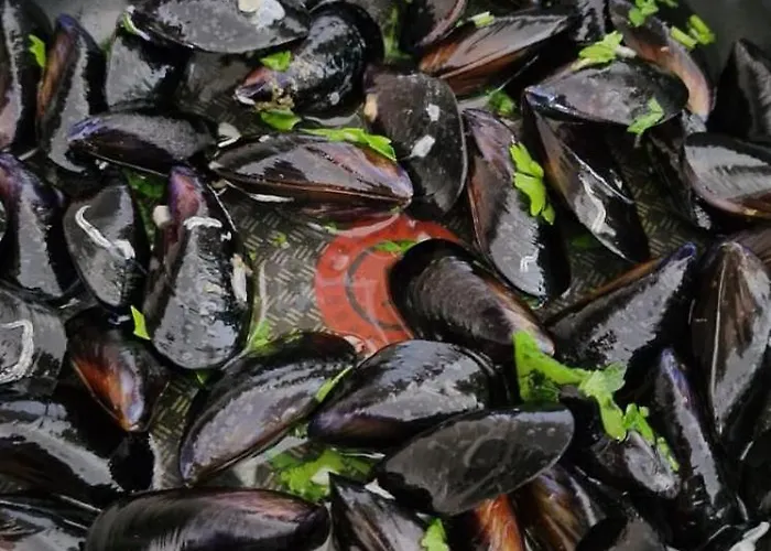 דירה Nina's House 3 , A 300 Metri Dal Mare