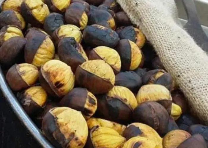 Nina's House 3 , A 300 Metri Dal Mare