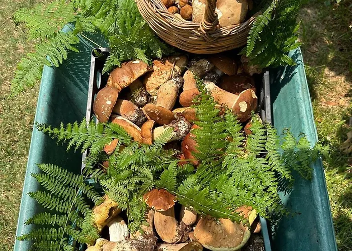 דירה Nina's House 3 , A 300 Metri Dal Mare